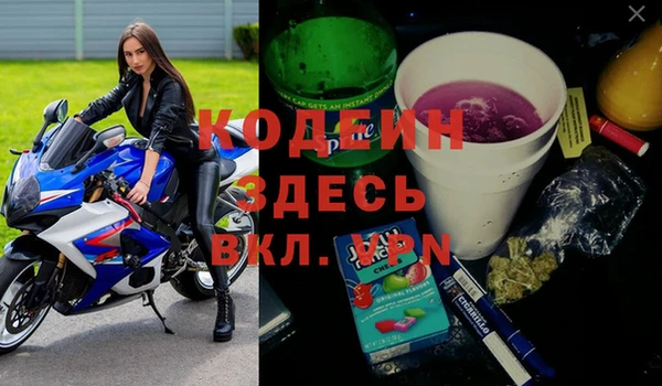 мет Бородино