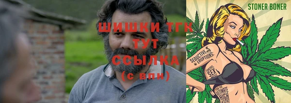 мет Бородино